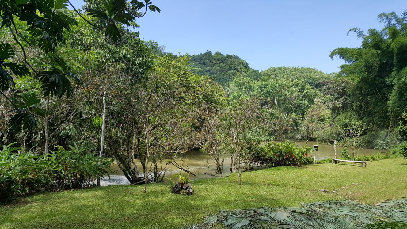 Slide Image