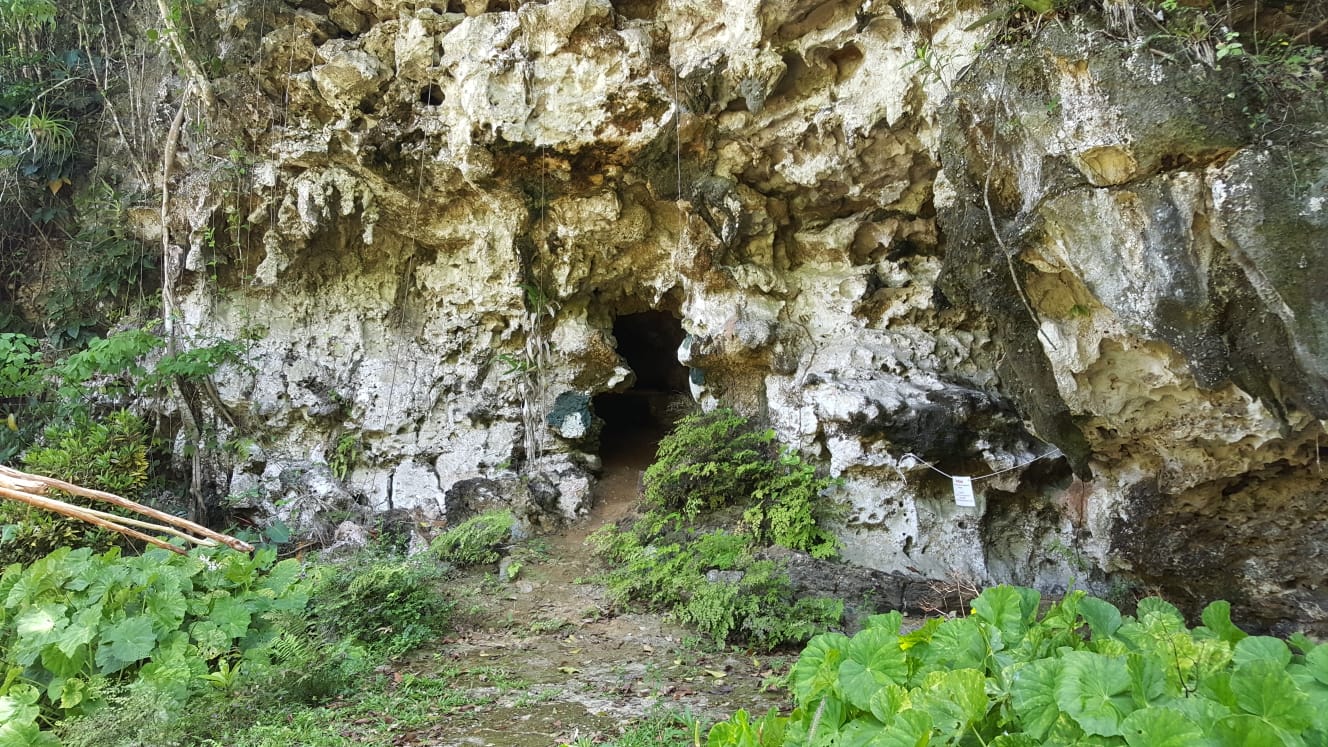 Slide Image