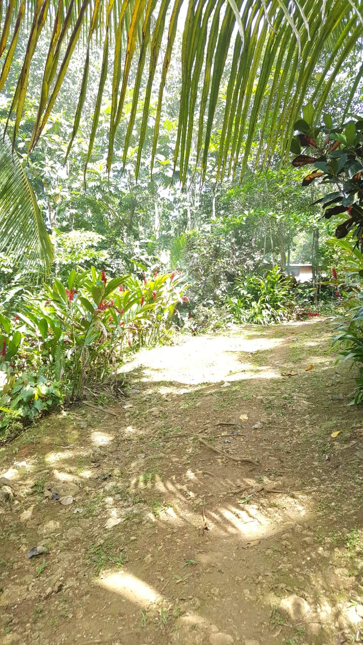 Slide Image